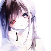青训新鱼