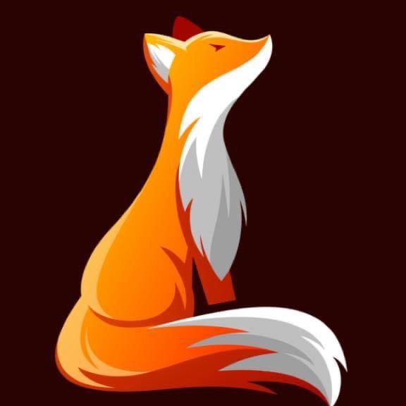 For Fox Sake Wildlife Rescue