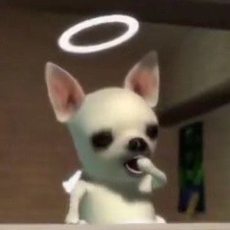 rnayz8