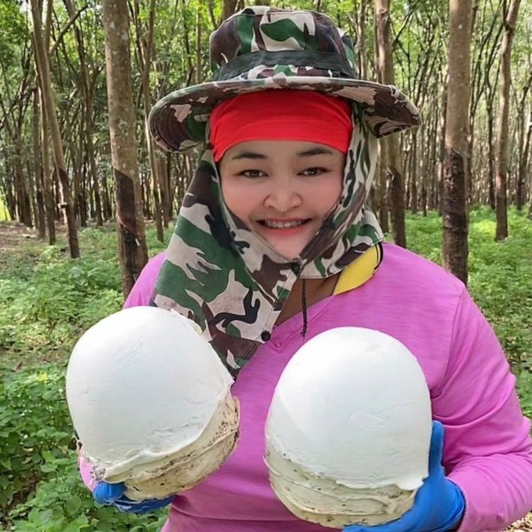 ปริญญาสวนยาง🌳