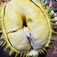 Huayuyu