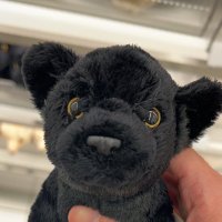 旋风菠萝猫