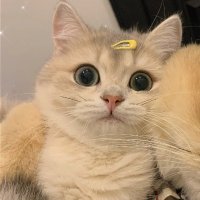 猛炫香喷喷炒面