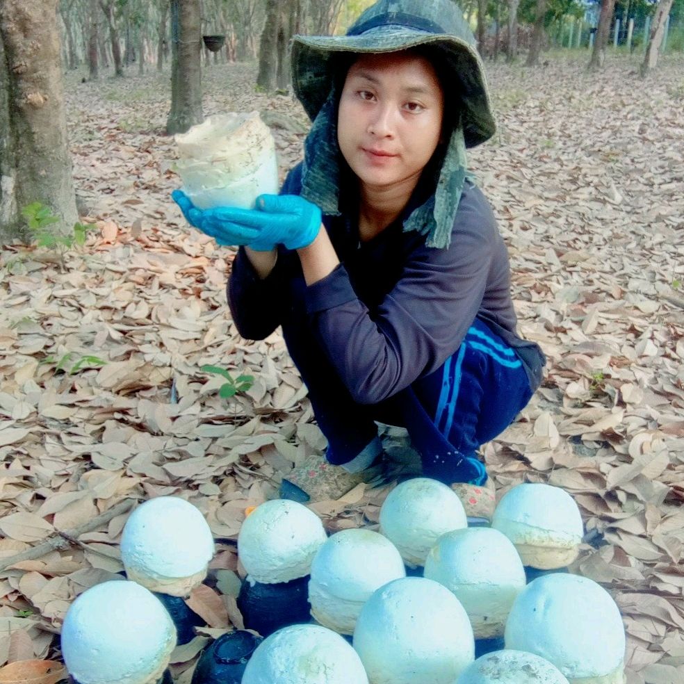 อรอุมา🌷🌈🌳☺