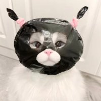 人设