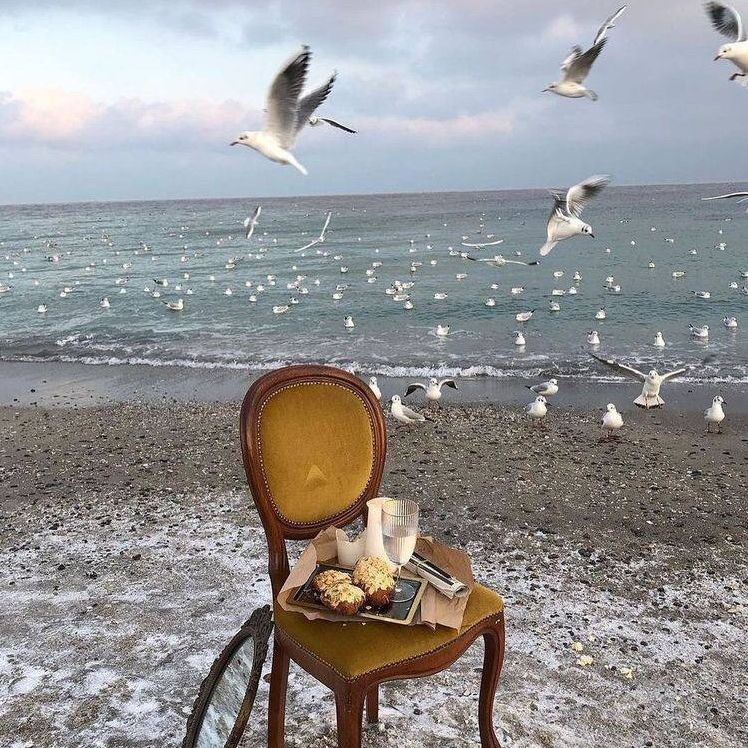 حـساب بـدون موسيقي ♥️