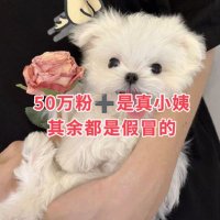 钮祜禄小姨