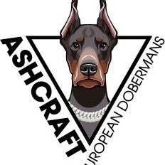 Ashcraft.Dobermans