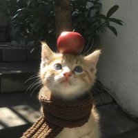 诶 我泪泪的