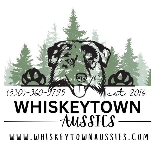 Whiskeytown Aussies