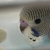 张三