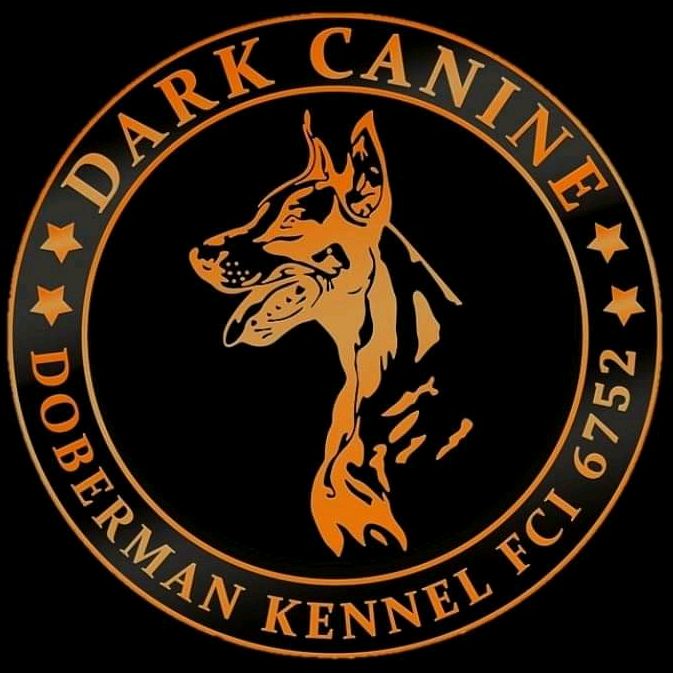 Dark Canine Doberman Kennel
