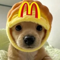 爱吃🦶🏻的锁🐶