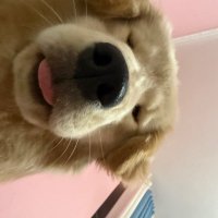 不甜甜不甜不知道