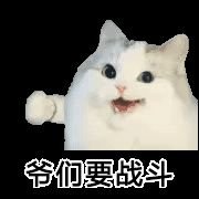 爱岛管子（自学PR版）